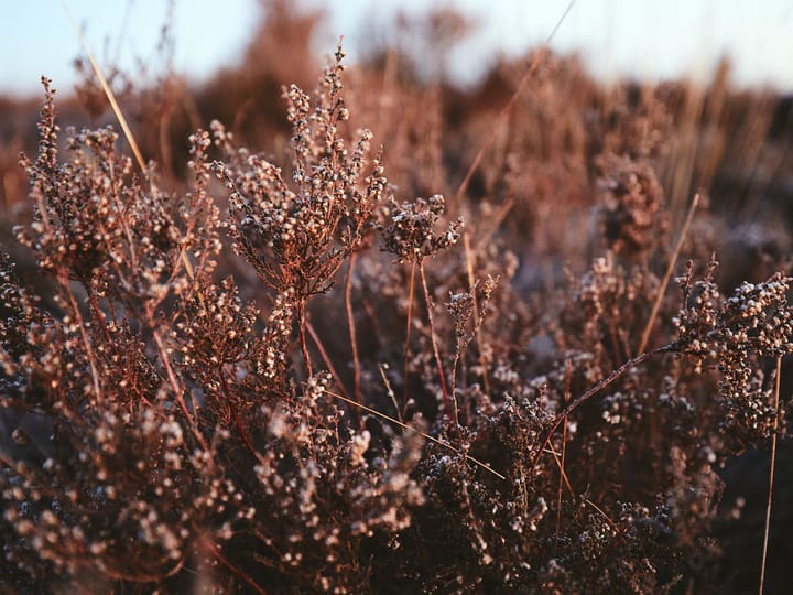 Foto 23 van Brigadelaan 11