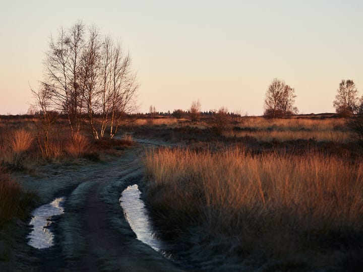 Foto 24 van Brigadelaan 11