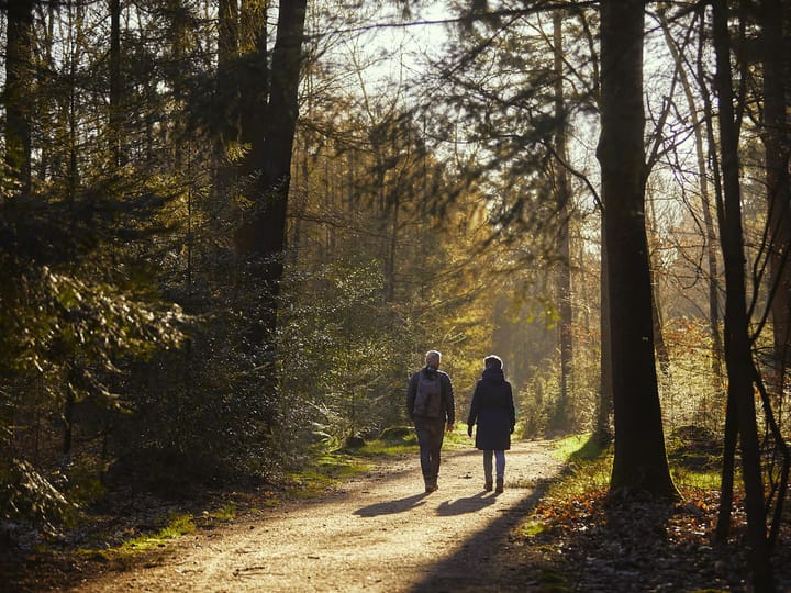 Foto 26 van Brigadelaan 11