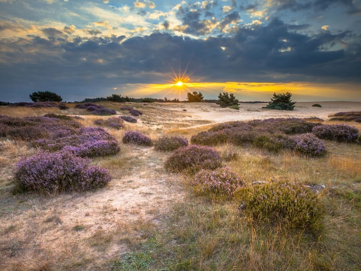 Foto 28 van Brigadelaan 11