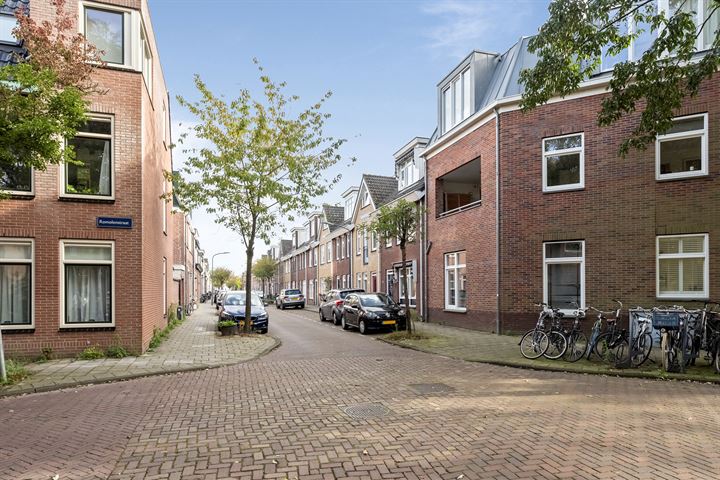 Bekijk foto 44 van A.L. Dyserinckstraat 79