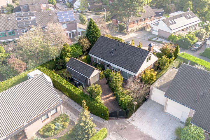 Foto 1 van Herikkruid 2