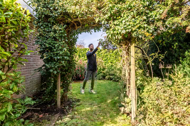 Foto 5 van Herikkruid 2