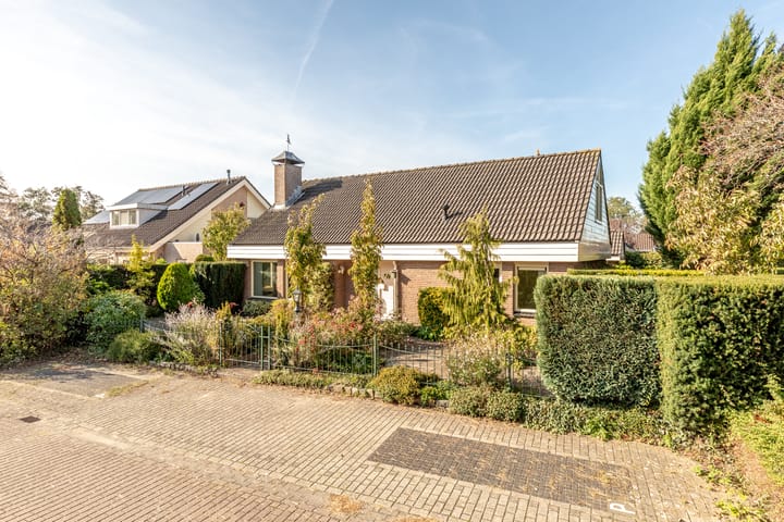 Foto 6 van Herikkruid 2