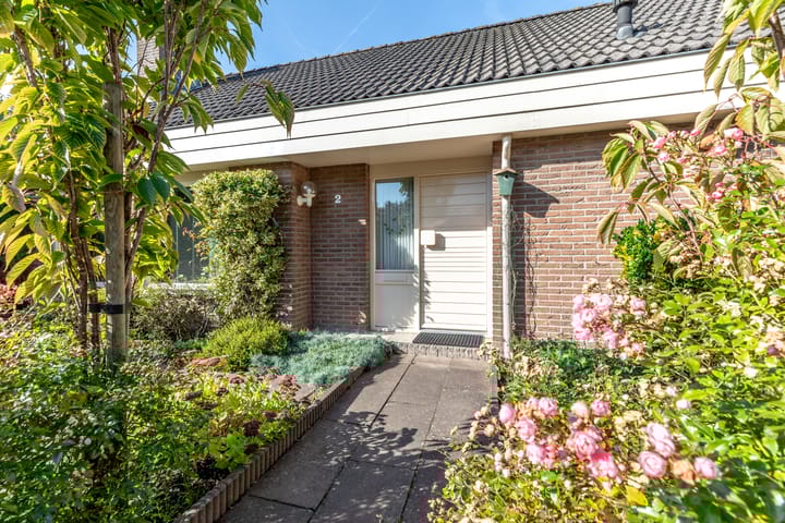 Foto 8 van Herikkruid 2