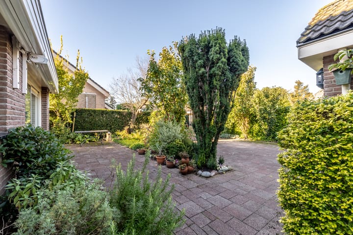 Foto 41 van Herikkruid 2