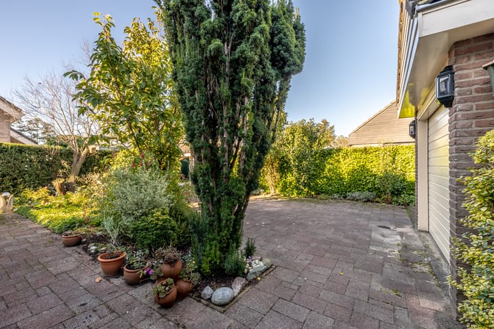 Foto 45 van Herikkruid 2