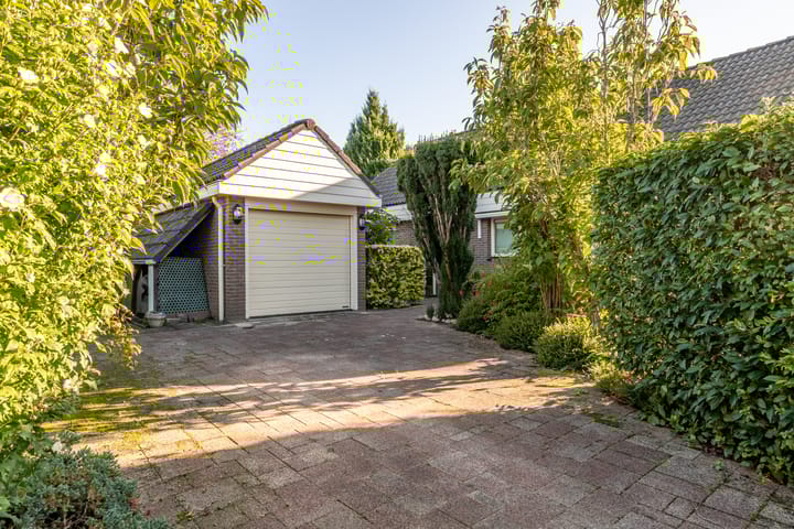 Foto 48 van Herikkruid 2