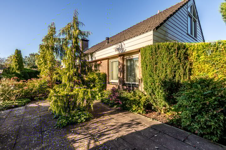 Foto 50 van Herikkruid 2