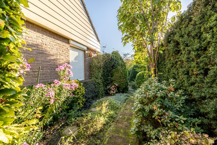 Foto 52 van Herikkruid 2