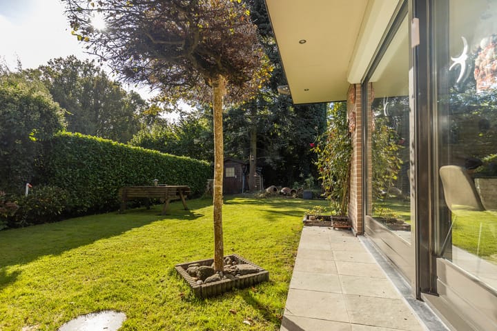 Foto 33 van Wilgenlaan 10