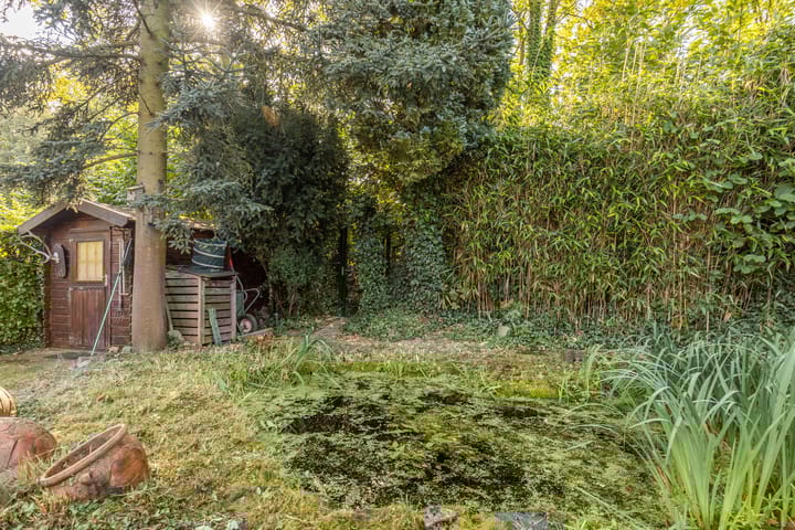 Foto 38 van Wilgenlaan 10