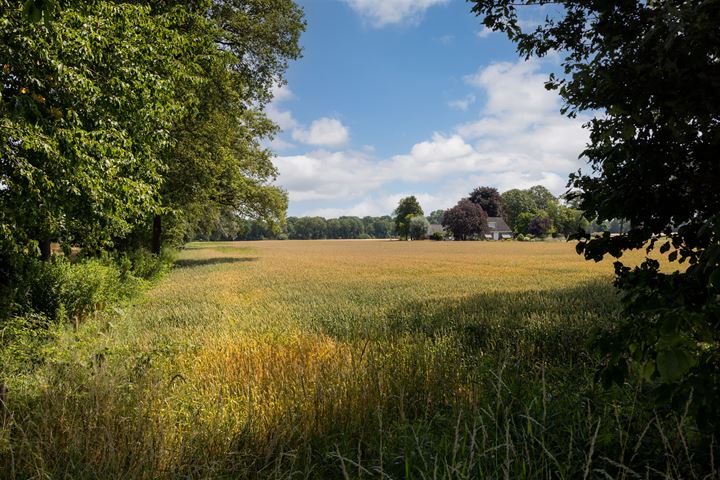 Bekijk foto 15 van Hondemotsweg, Wonen in het Veld, kavel C