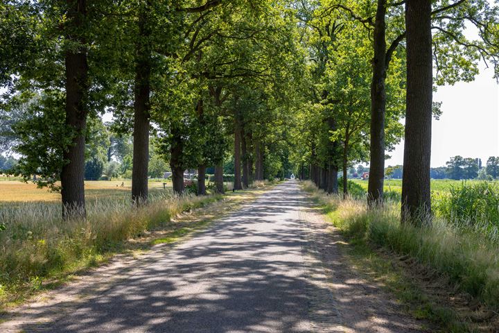 Bekijk foto 16 van Hondemotsweg, Wonen in het Veld, kavel C