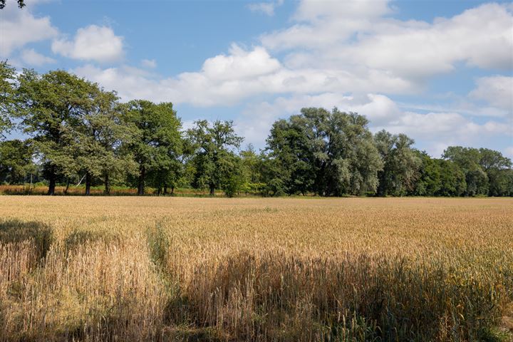 Bekijk foto 17 van Hondemotsweg, Wonen in het Veld, kavel C