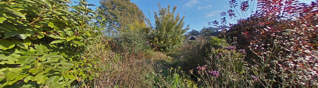 Bekijk 360° foto van Achtertuin van Zwolseweg 157-A