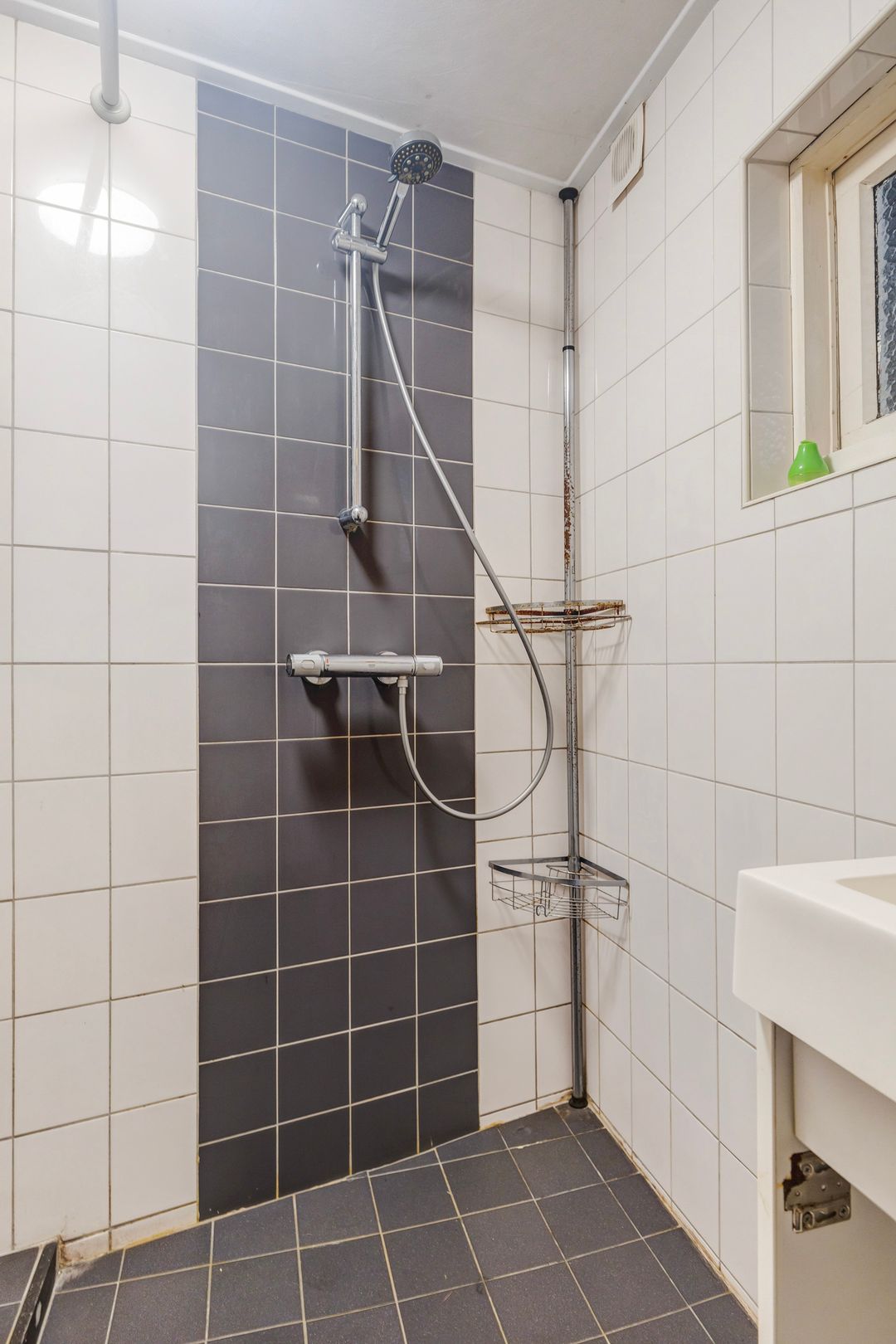 Foto 16 van Oldegalileën 102