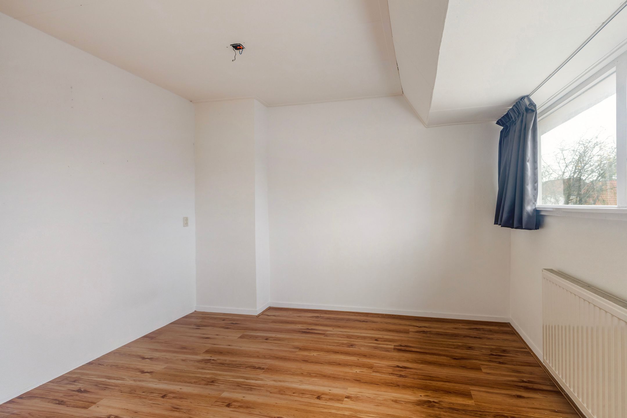 Foto 24 van Oldegalileën 102