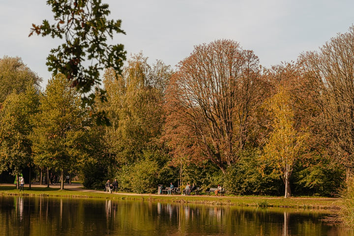 Bekijk foto 47 van Willemsparkweg 127