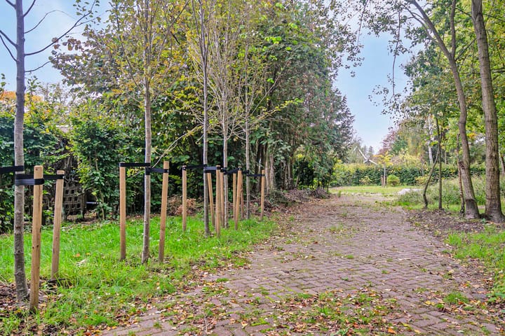 Foto 6 van Dennenlaan 26