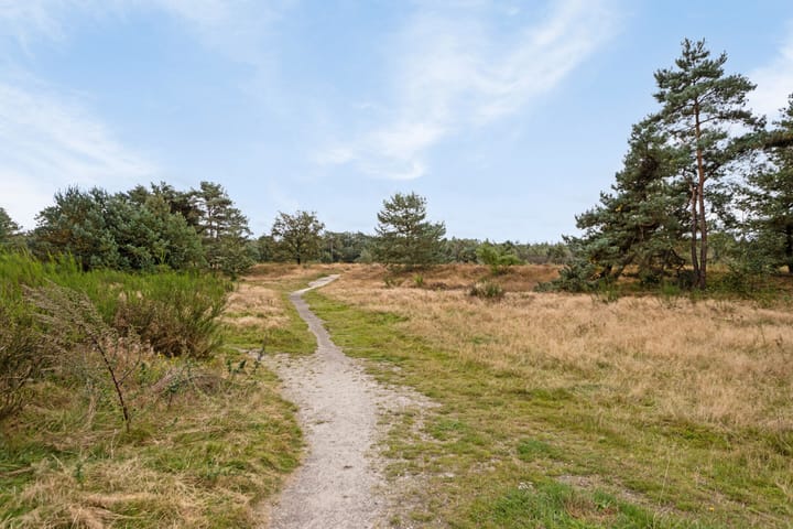 Foto 27 van Wolvegastraat 88