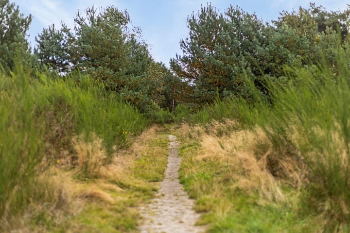 Foto 28 van Wolvegastraat 88