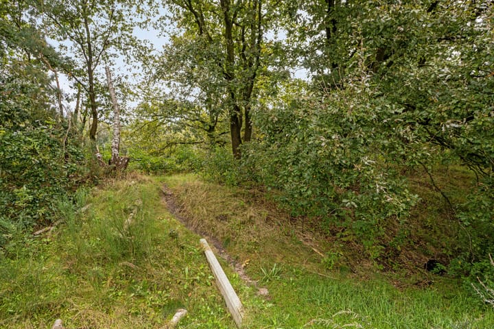 Foto 29 van Wolvegastraat 88