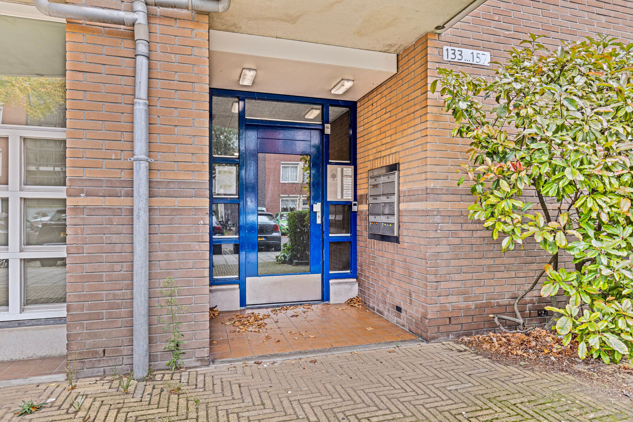 Foto 18 van Wagenaarstraat 157