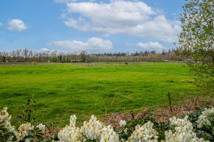 Foto 12 van Regentesselaan 2-C