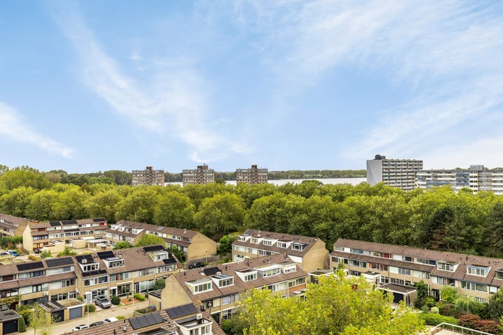 Bekijk foto 35 van Wederikstraat 117