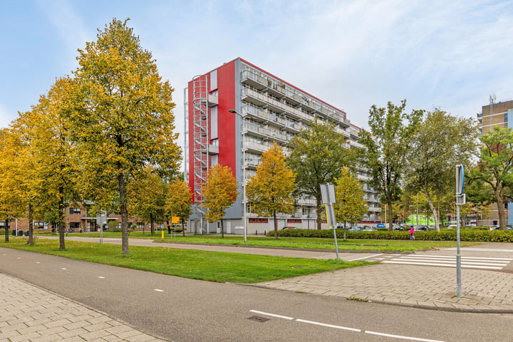 Bekijk foto 36 van Wederikstraat 117