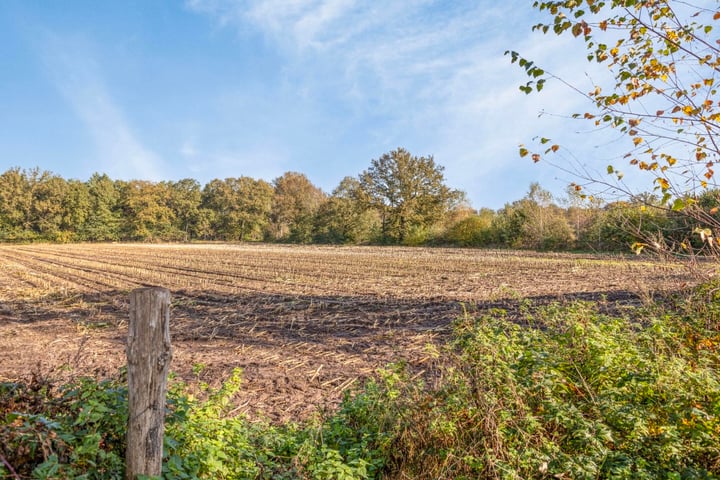 Bekijk foto 32 van de Kreijenbeek 155