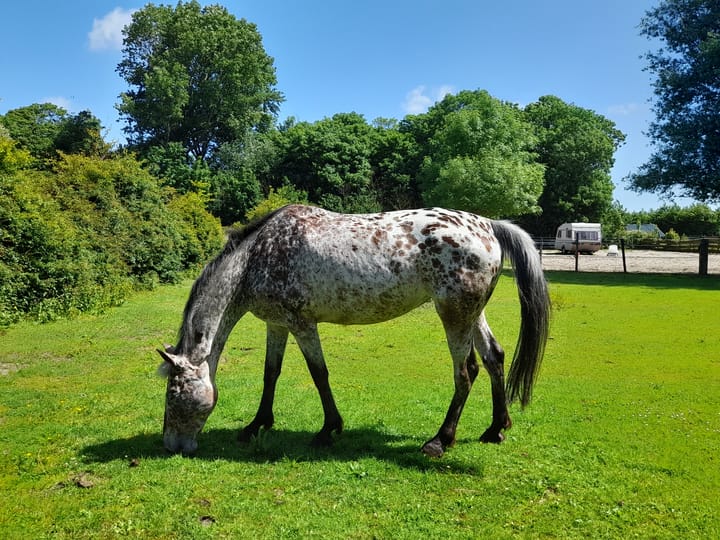 Foto 3 van Hoogeweg 11