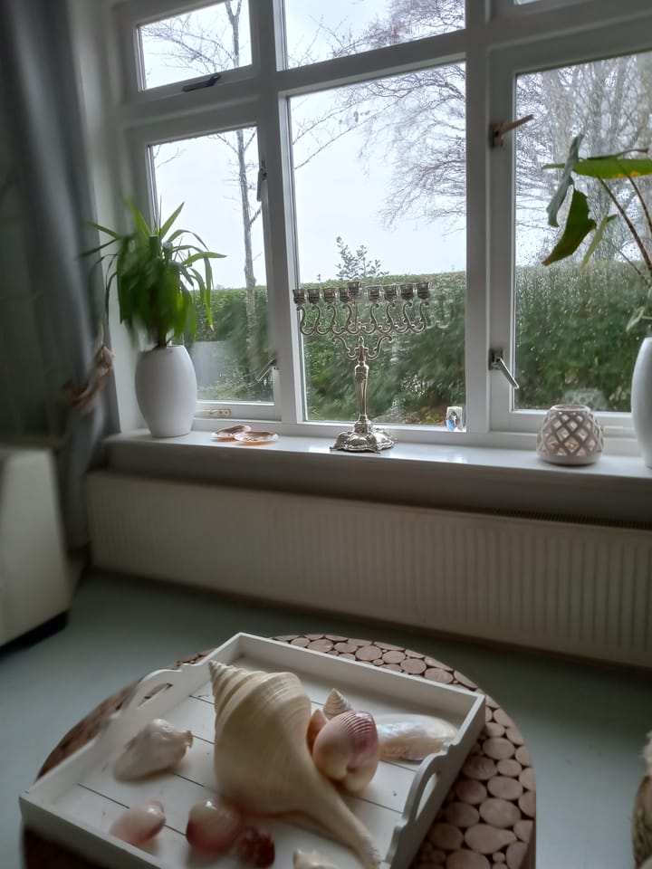 Foto 12 van Hoogeweg 11