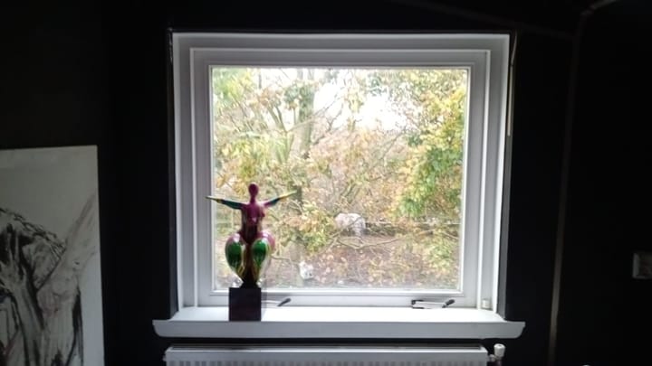 Foto 30 van Hoogeweg 11