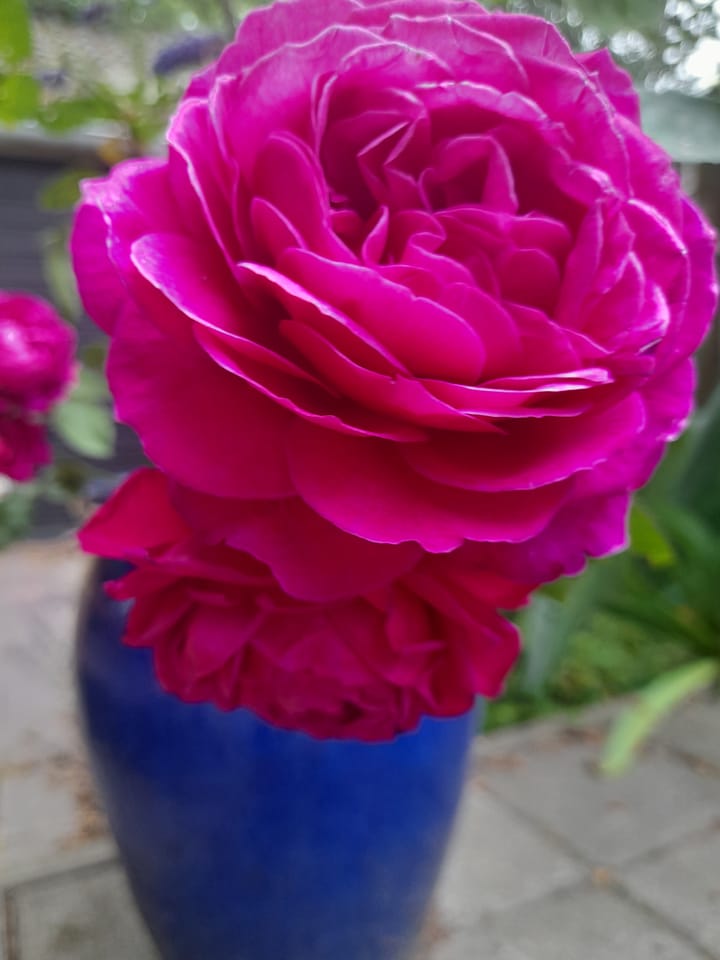 Foto 35 van Hoogeweg 11