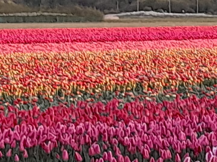 Foto 36 van Hoogeweg 11