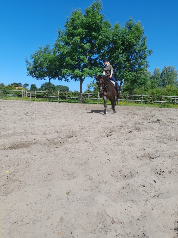 Foto 39 van Hoogeweg 11