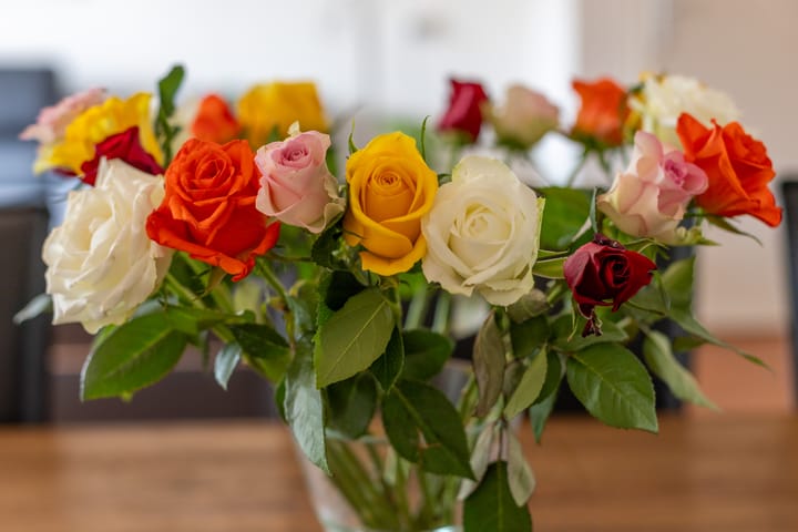 Foto 7 van Anjerlaan 91