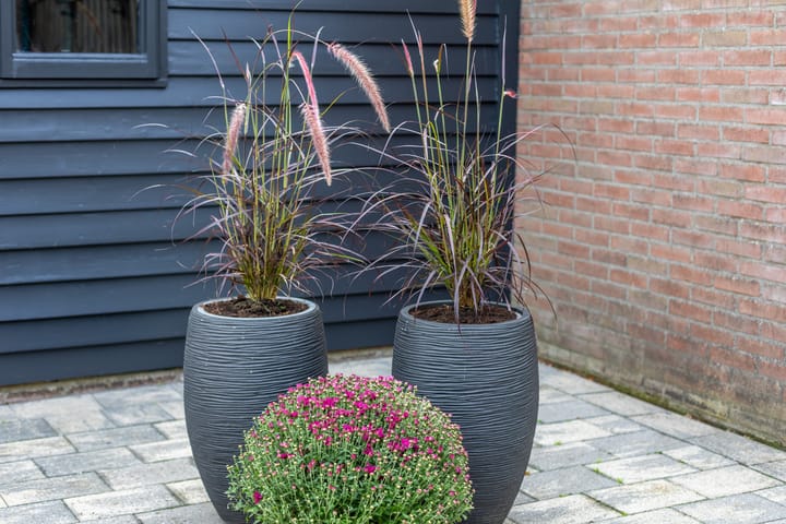 Foto 17 van Anjerlaan 91