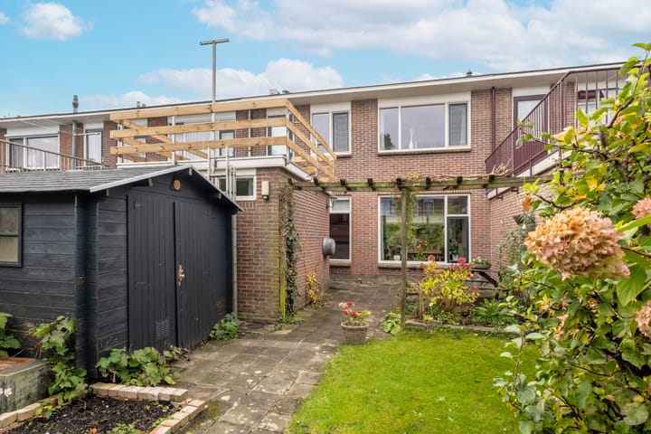 Foto 5 van Goeman Borgesiuslaan 16