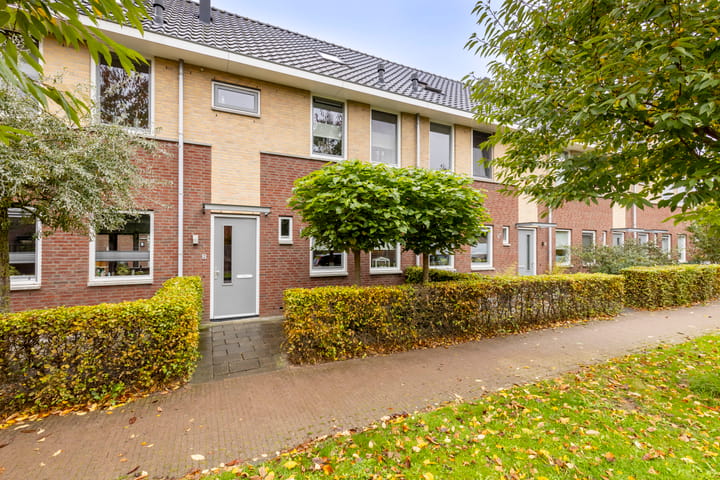 undefined main image