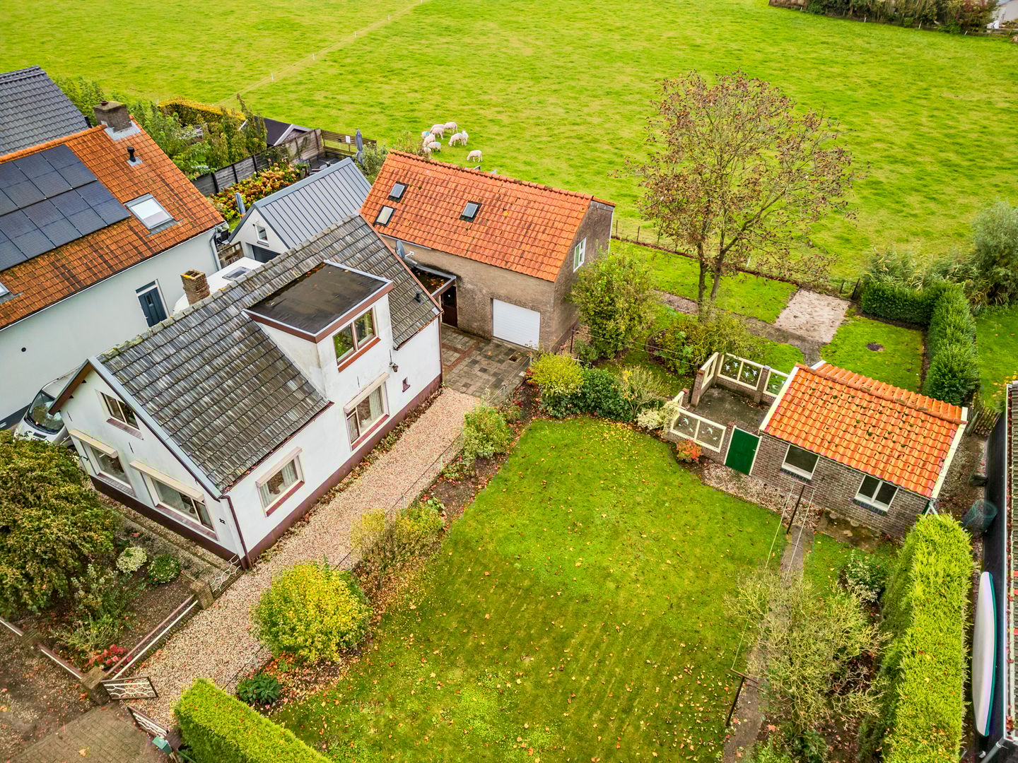 Foto 1 van Pottumsestraat 22