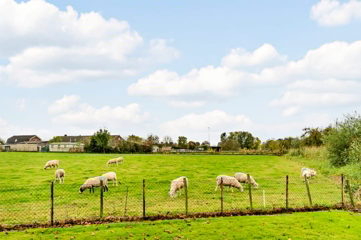 Foto 47 van Pottumsestraat 22