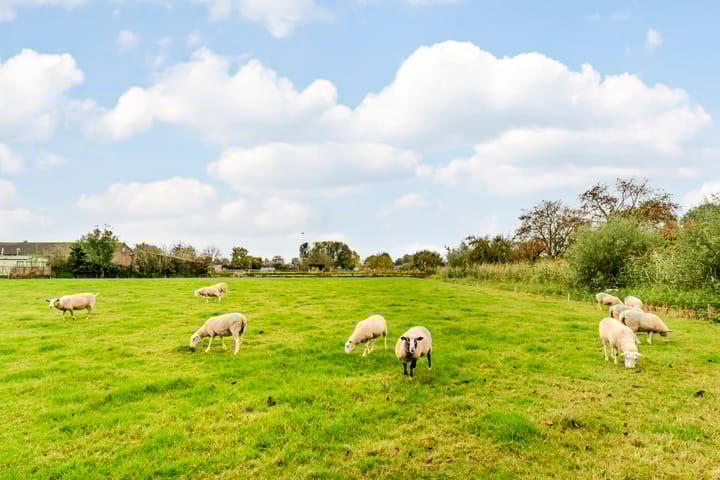 Foto 48 van Pottumsestraat 22