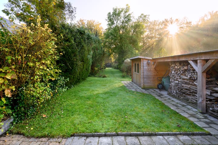 Foto 7 van Houtwal 8