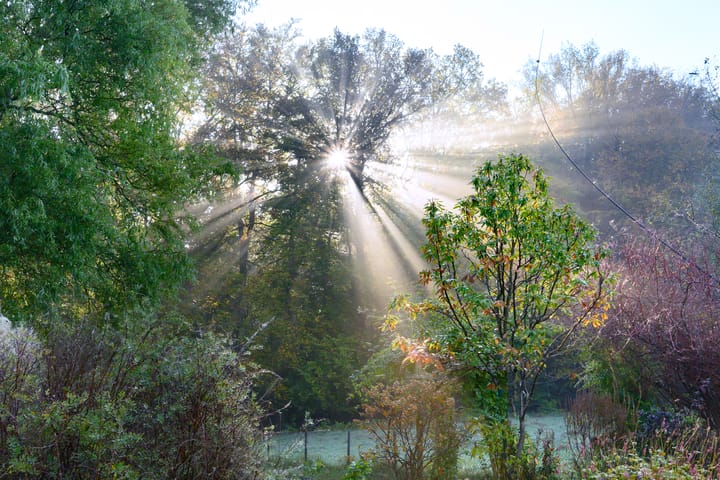 Foto 30 van Houtwal 8