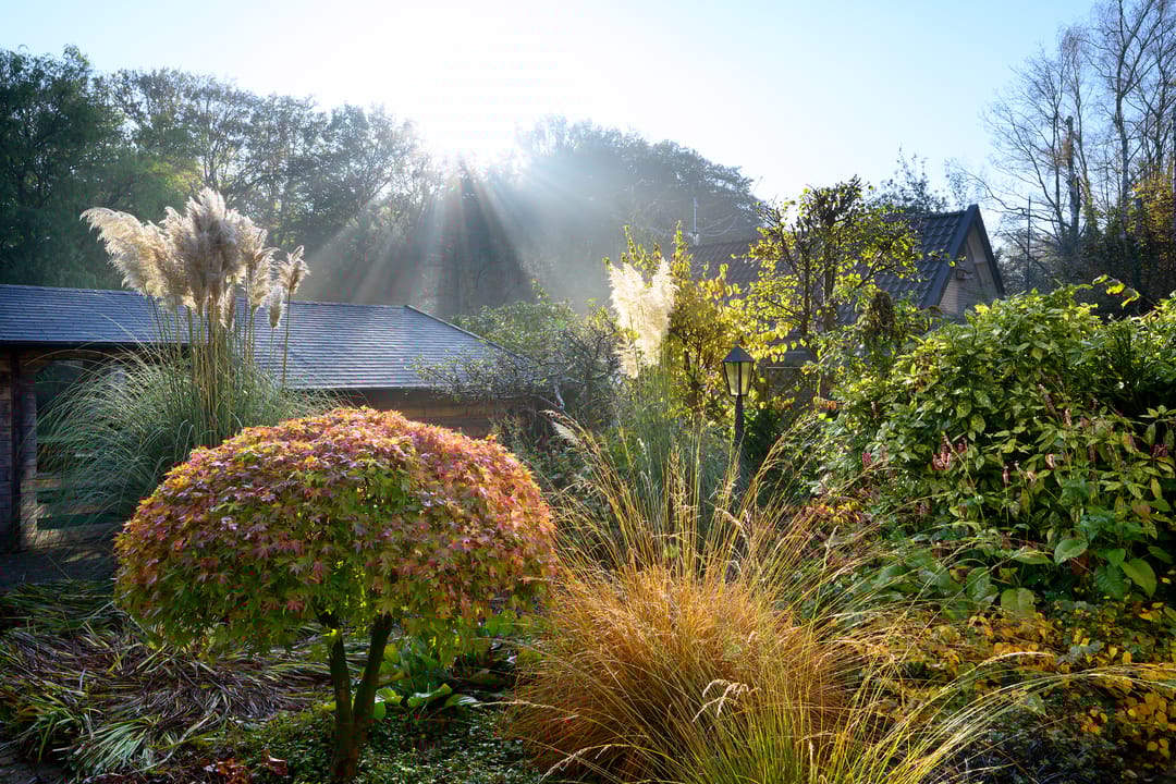 Photo 31 of Houtwal 8