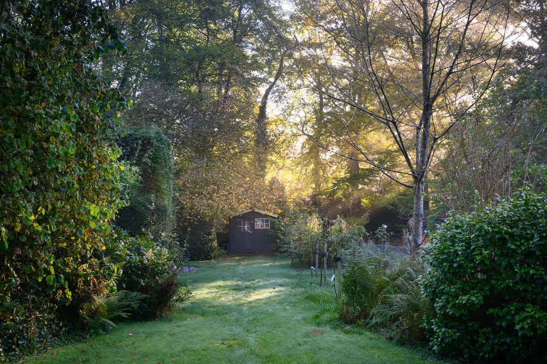 Photo 32 of Houtwal 8