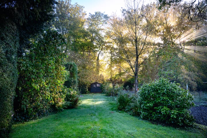 Foto 34 van Houtwal 8